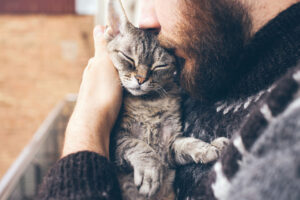 Come capire se sei pronto per un gatto: i segnali