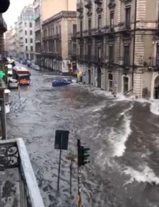 Diluvio a Catania, morti pelosi innocenti e distrutta la struttura per stallare i mici