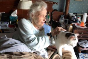 Donna di 101 anni adotta il gatto più vecchio del rifugio