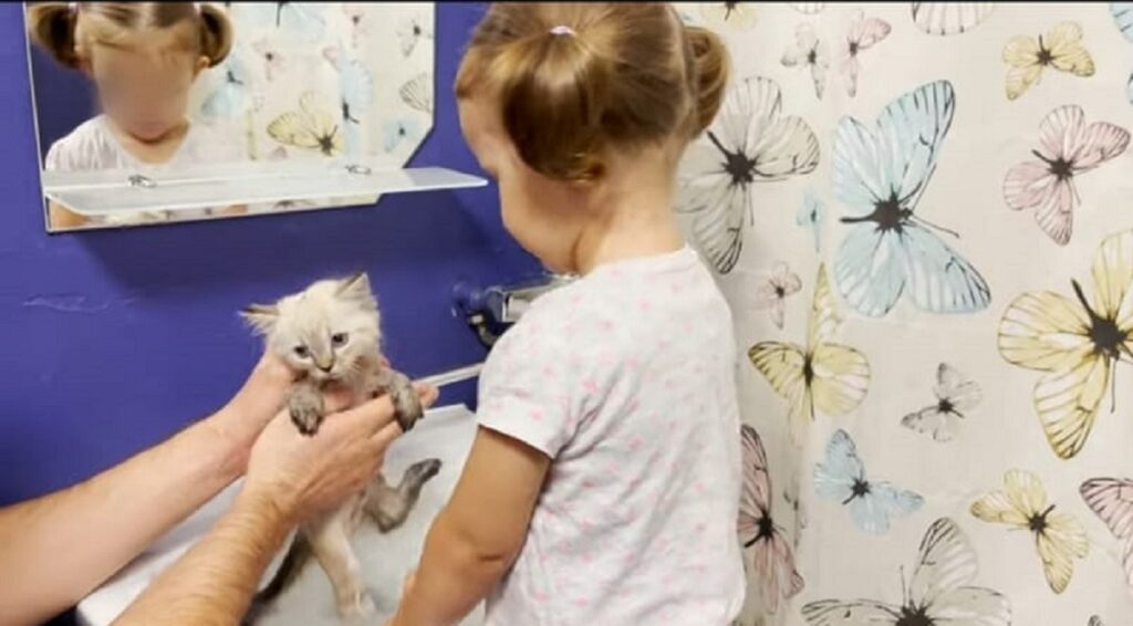 primo bagnetto per l'adorabile gattino