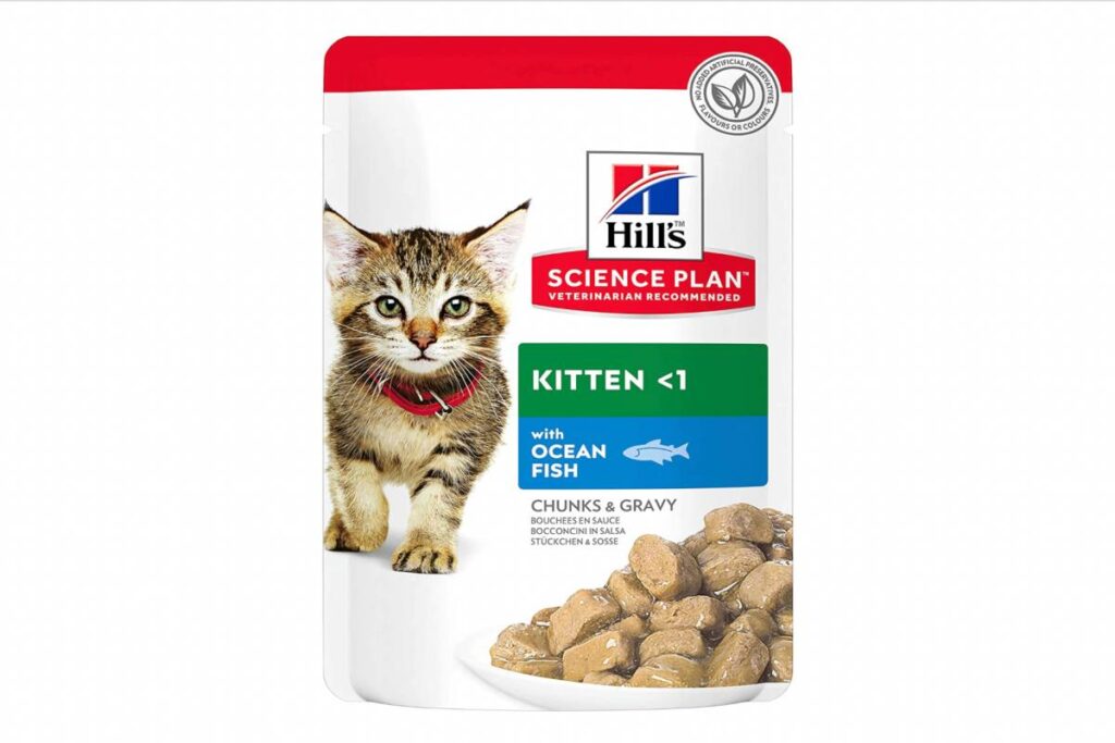 bocconcini kitten hill's 