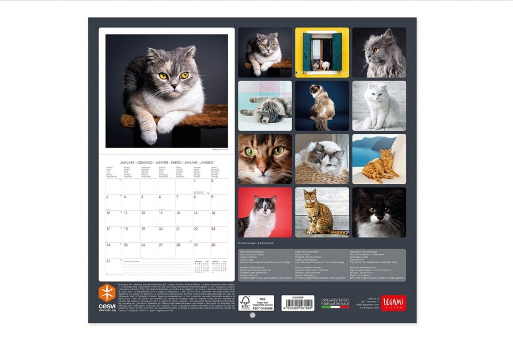 calendario 2022 gatti