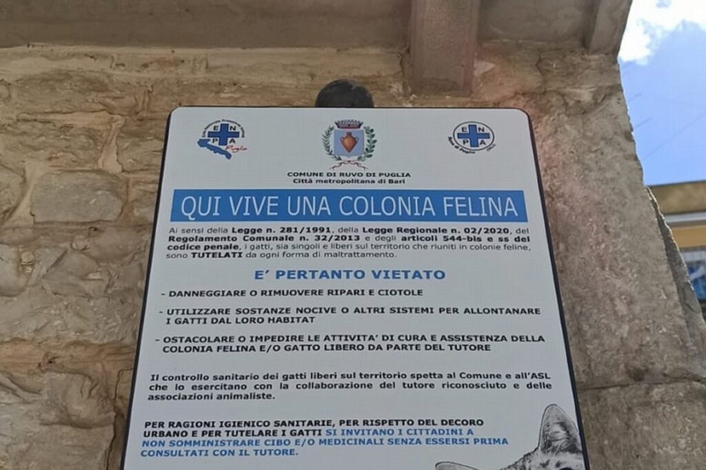 colonia felina ruvo di puglia