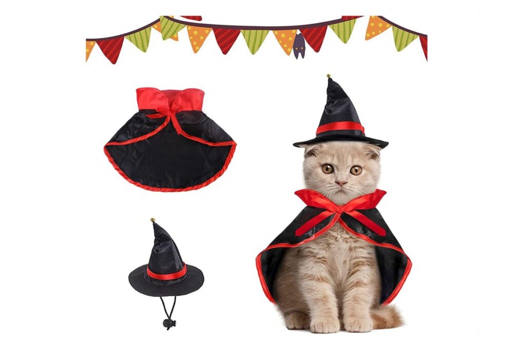 costume di halloween per gatto