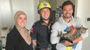 Il gattino Abito sopravvive grazie al salvataggio dei vigili del fuoco