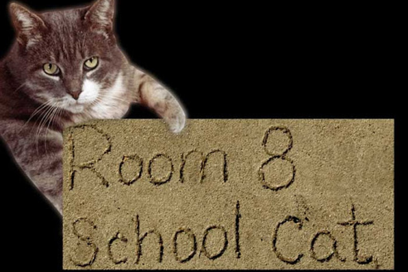 Ис кот. Класс восемь кот. Кот комната восемь. Room 8 кот. Room 8 Cat.