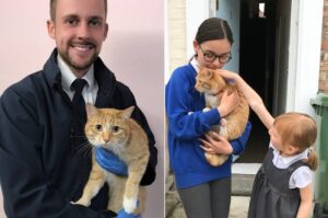 Il gattino Tatty affronta un viaggio molto pericoloso e resta illeso