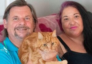 Il gattino Tom Garfield  ritorna a casa dai suoi padroni dopo sette settimane