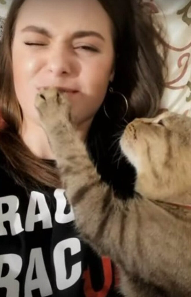 gatto bacia la proprietaria