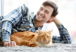 Rapporto con i gattini: com’è cambiato dal punto di vista maschile (VIDEO)