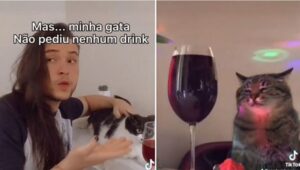 Gattino offre del vino ad una gattina