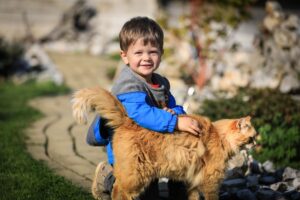 4 consigli per far andare d’accordo il gatto con i bambini