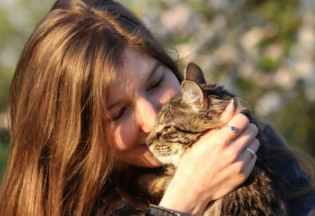 micio con mamma