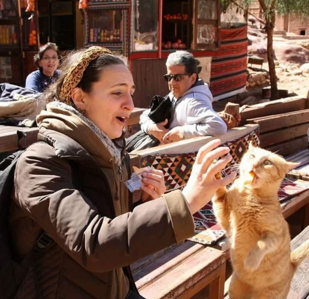 felino mamma cibo