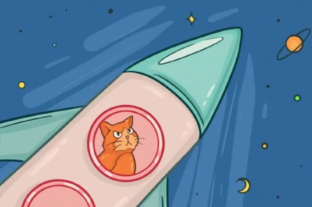 gatto vola nello spazio