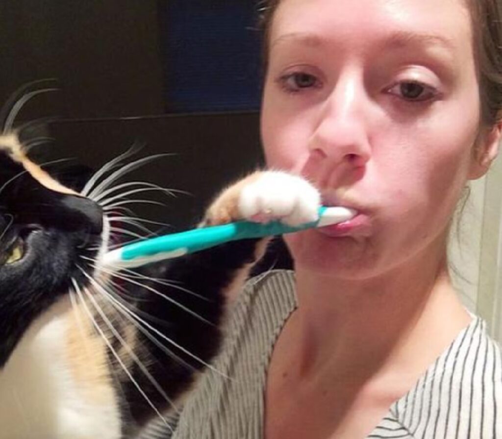 gatto aiuta mamma a lavarsi i denti