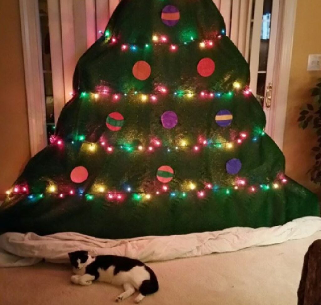 albero fatto di coperte per gatto
