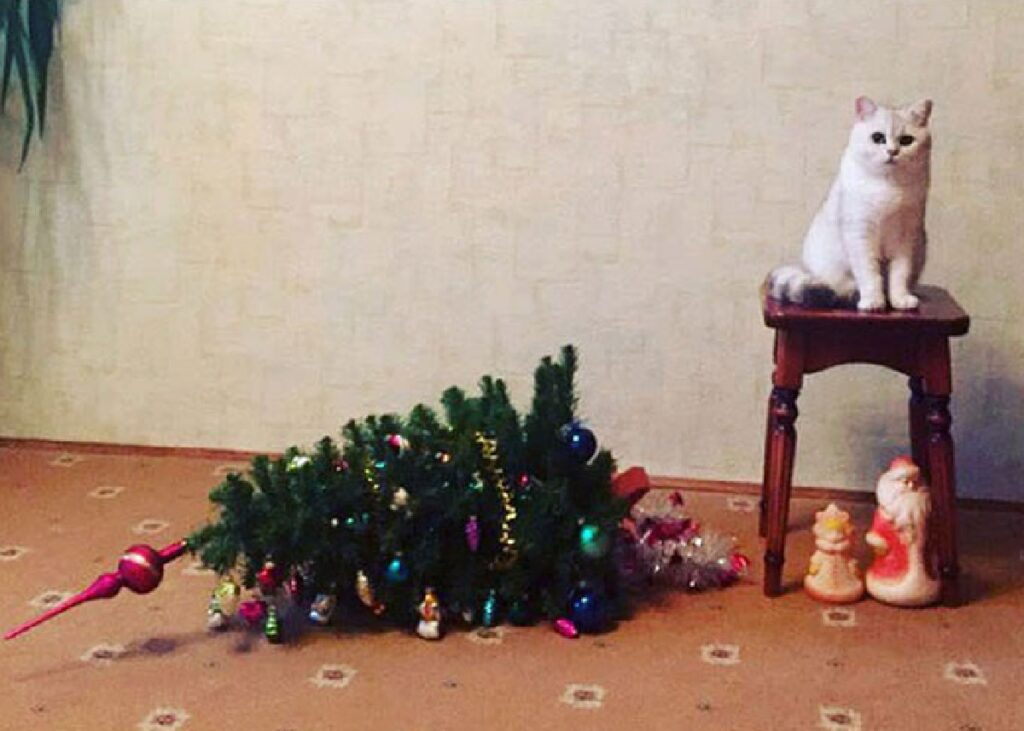 gatto butta giù albero di natale