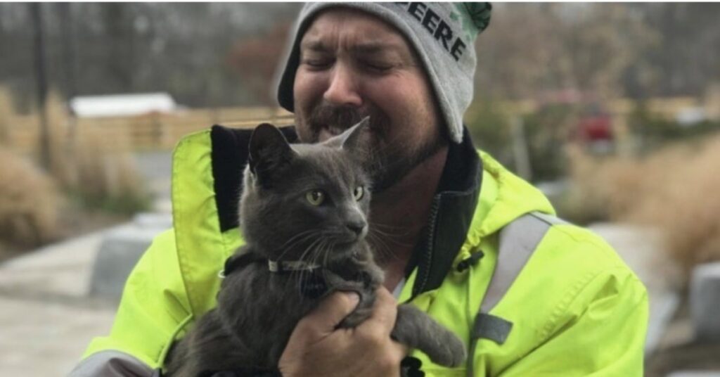 camionista piange per aver ritrovato il gatto