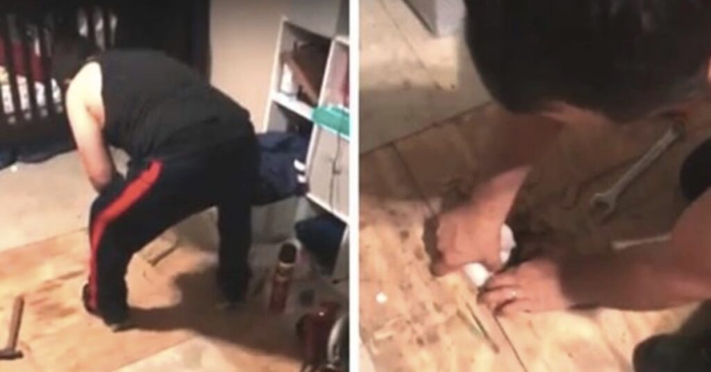 uomo rompe a martellate il pavimento per salvare il gatto