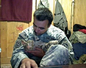 Koshka, la gatta che ha salvato la vita ad un soldato