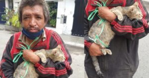 Senzatetto incaricato di sbarazzarsi di un gatto, lui lo accudisce e gli trova una famiglia