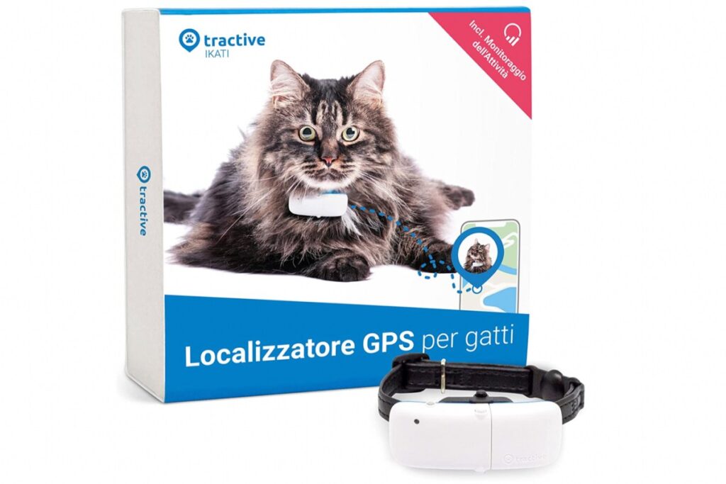 collare gps per gatti