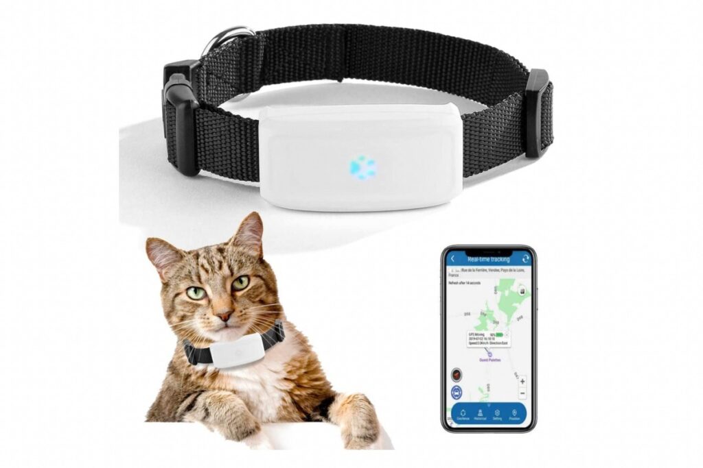 mini localizzatore per gatto