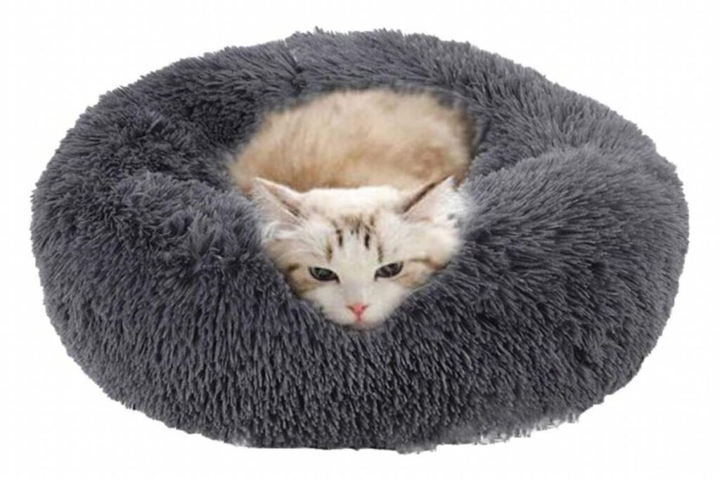 cuscino elegante per gattini