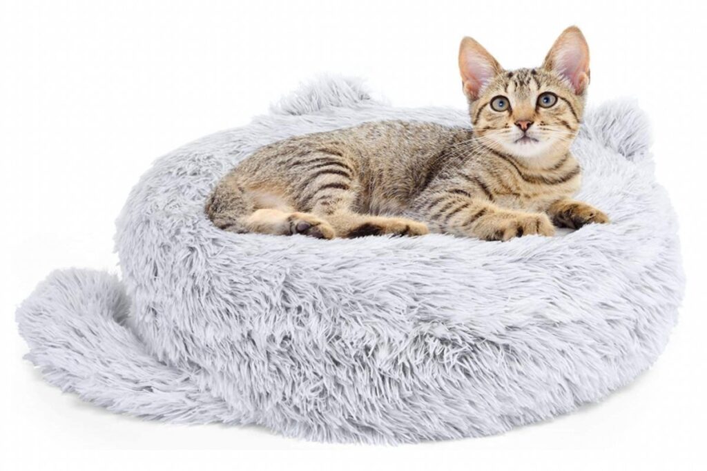 cuscino a forma di gatto