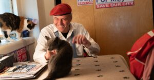 I gattini di Curtis Sliwa sono gli animali più famosi di New York (VIDEO)