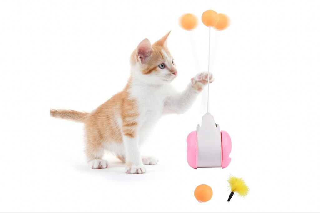 giocattolo interattivo per gattino