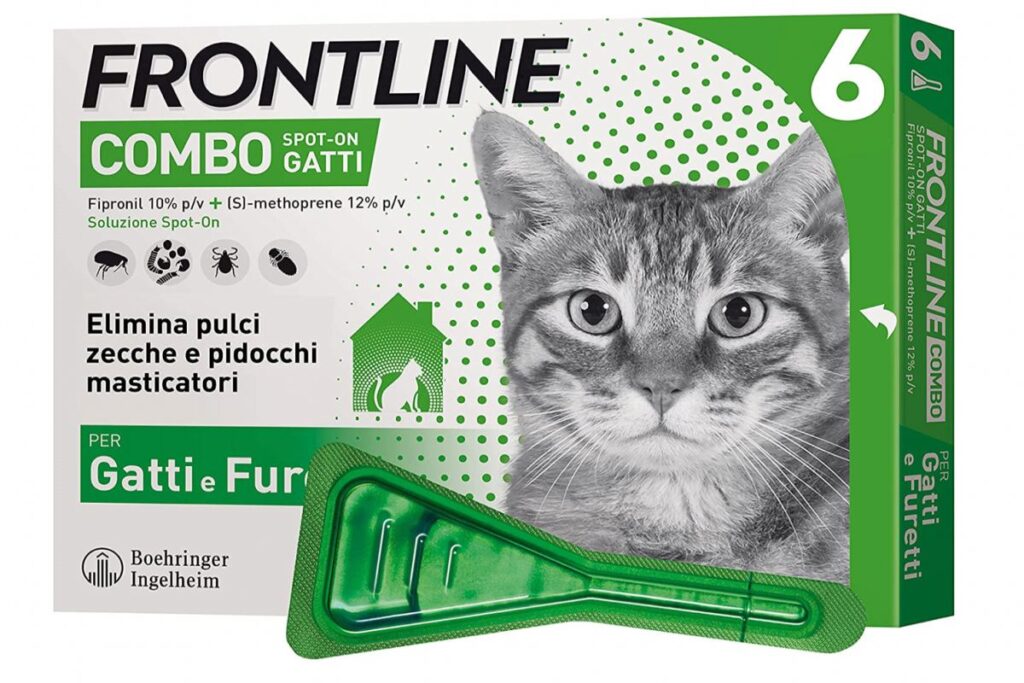 pipette antipulci per gatti