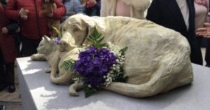 Tristán e Soledad: la scultura eretta in onore dei gatti e cani randagi a Valencia