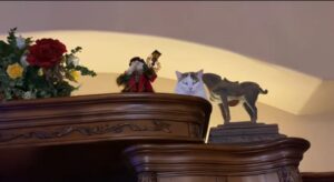 Simpatico gatto e alano vedono l’albero di Natale per la prima volta (VIDEO)