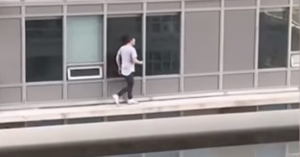 uomo salva gatto su un balcone al decimo piano