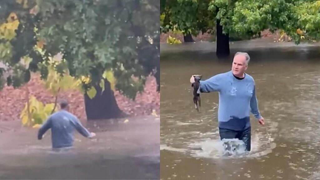 uomo con gattino grigio in un torrente