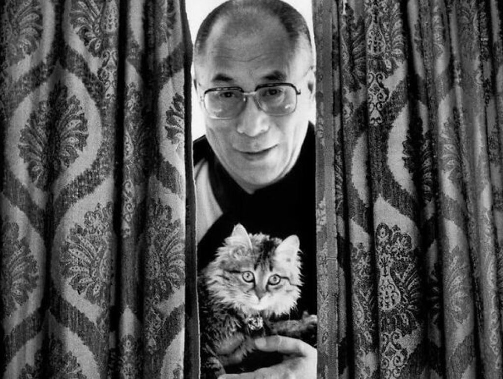 dalai lama gatto in braccio