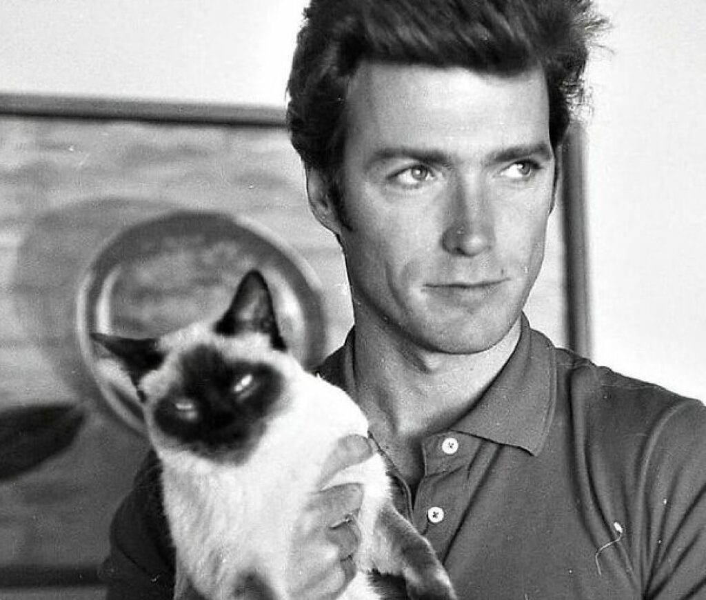 clint eastwood passione gatti