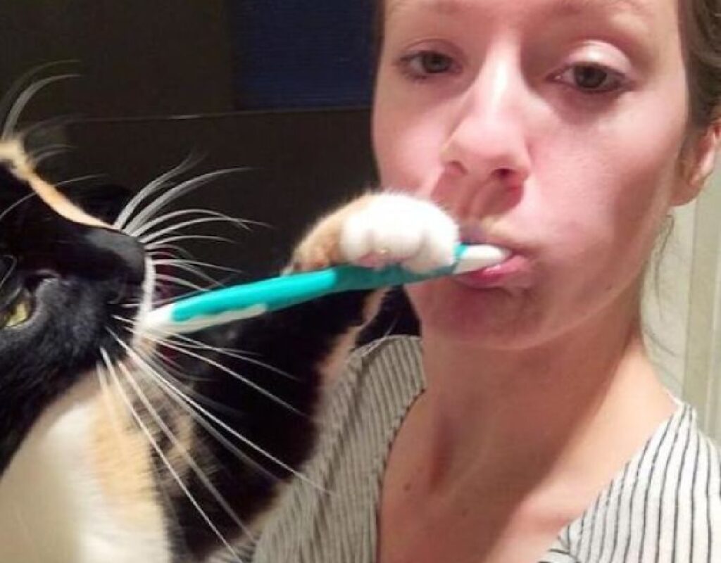 gatto aiuta mamma lavarsi denti