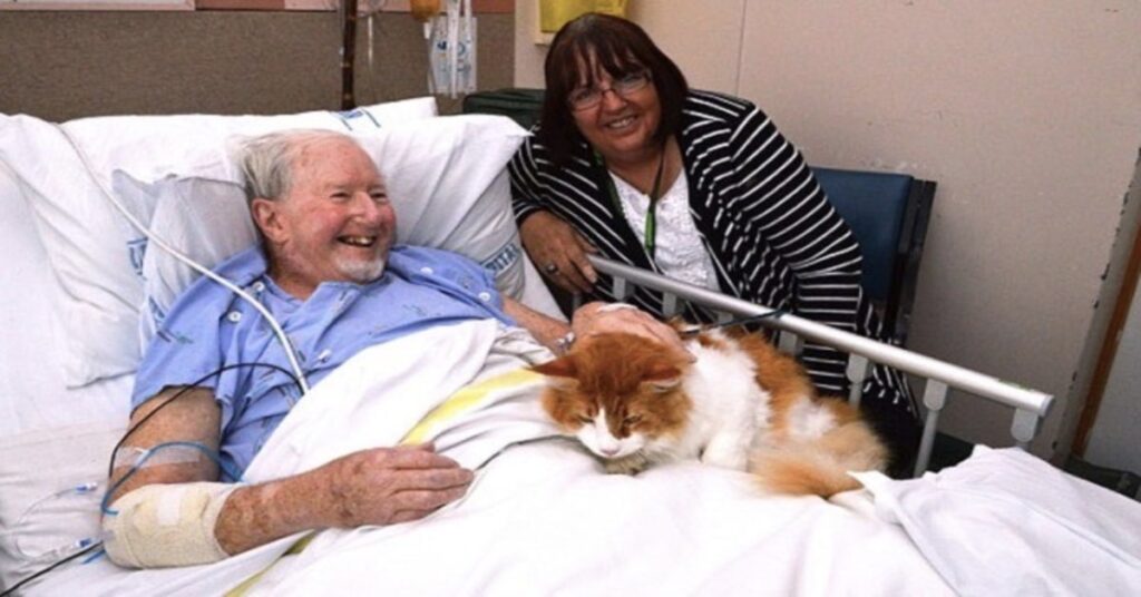 anziano malato felice con un gatto