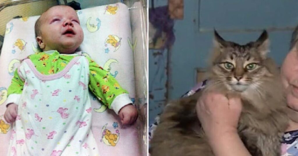 neonato e gatta che lo ha salvato