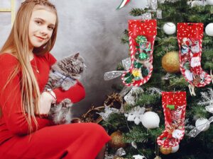 5 calze natalizie per gatti da regalare al tuo Micio