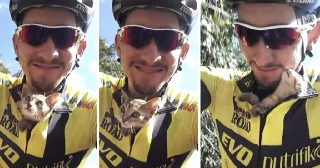 uomo in bici salva un gattino in pericolo