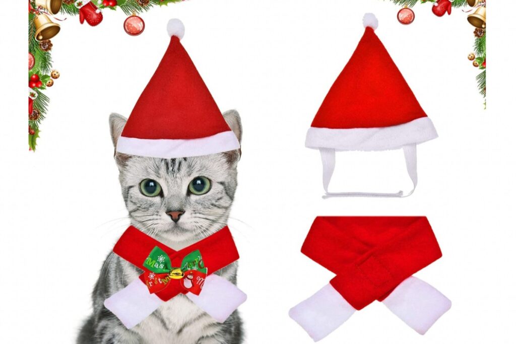 costumi di natale per gatti