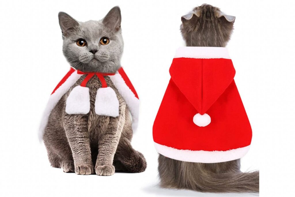 mantello da babbo natale per gatto