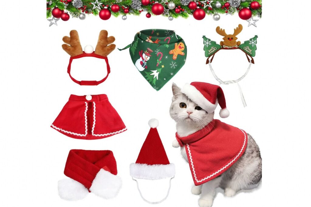 costumi natalizi buffi per gatto