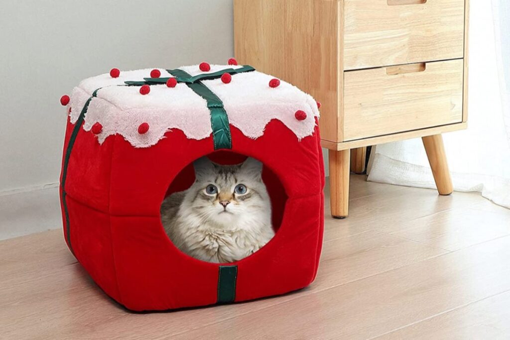 cucce natalizie per il gatto