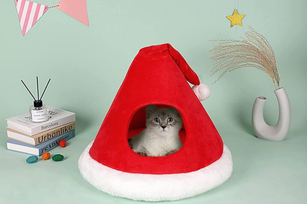 cucce natalizie per il gatto