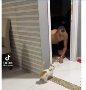 Gattino cullato dalla ninna nanna di un uomo